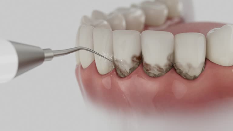 Reliable Dental contractor in Earlysville, VA by Dentist Open Now